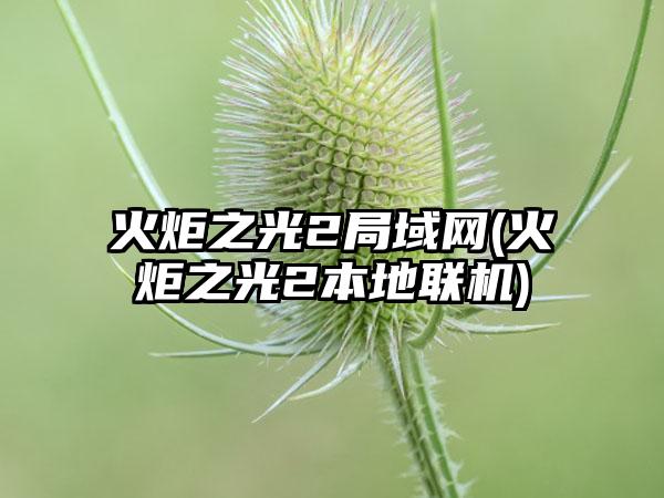 火炬之光2局域网(火炬之光2本地联机)