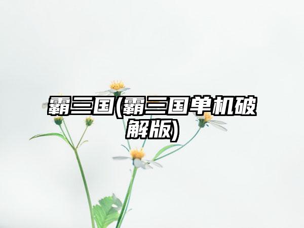 霸三国(霸三国单机破解版)