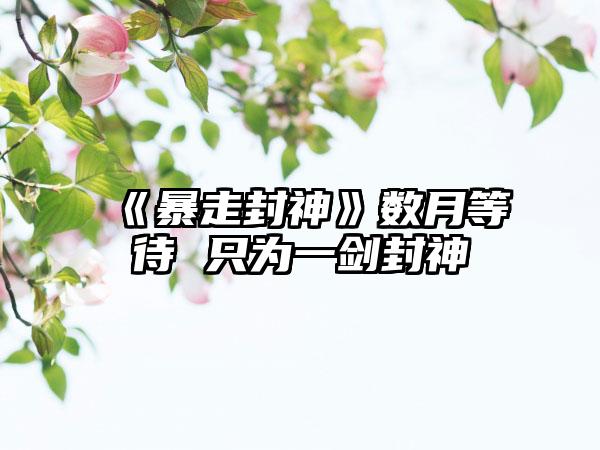 《暴走封神》数月等待 只为一剑封神