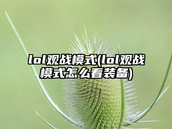 lol观战模式(lol观战模式怎么看装备)