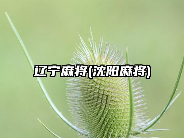 辽宁麻将(沈阳麻将)