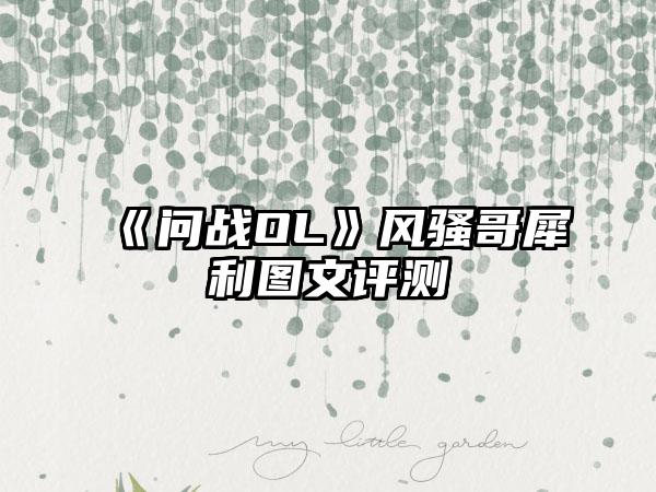 《问战OL》风骚哥犀利图文评测