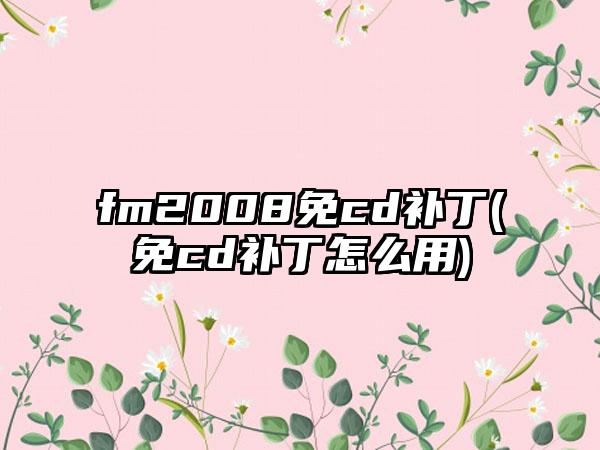 fm2008免cd补丁(免cd补丁怎么用)