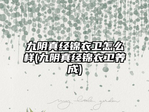 九阴真经锦衣卫怎么样(九阴真经锦衣卫养成)