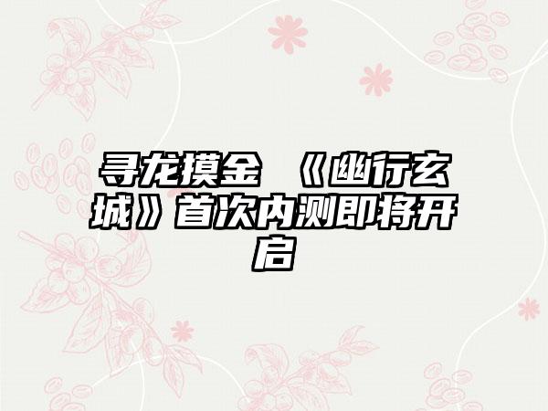 寻龙摸金 《幽行玄城》首次内测即将开启