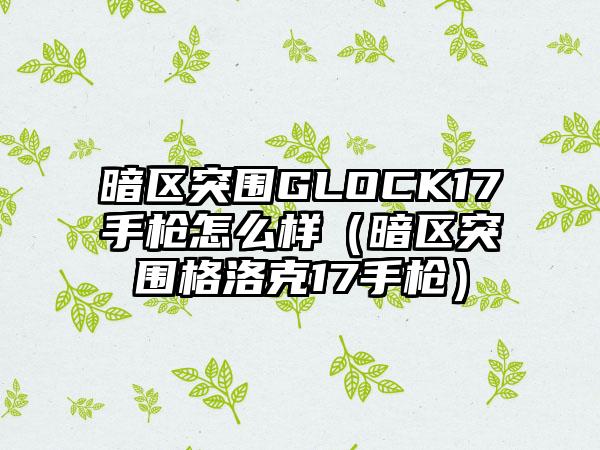 暗区突围GLOCK17手枪怎么样（暗区突围格洛克17手枪）