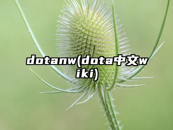 dotanw(dota中文wiki)