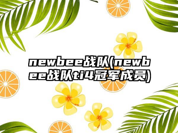 newbee战队(newbee战队ti4冠军成员)