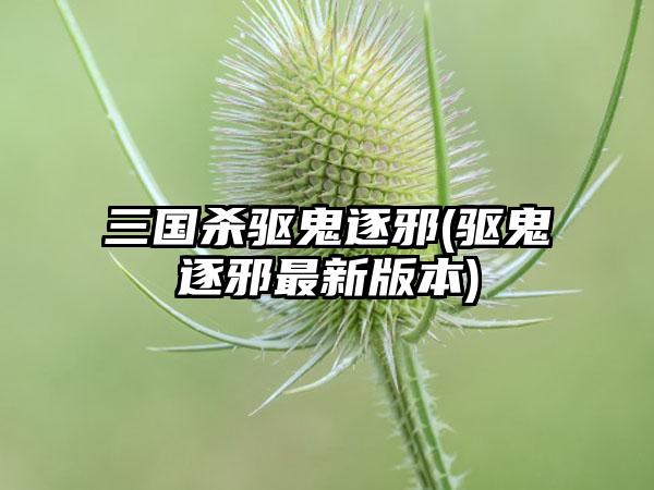 三国杀驱鬼逐邪(驱鬼逐邪最新版本)