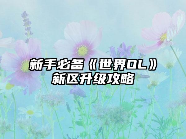 新手必备《世界OL》新区升级攻略