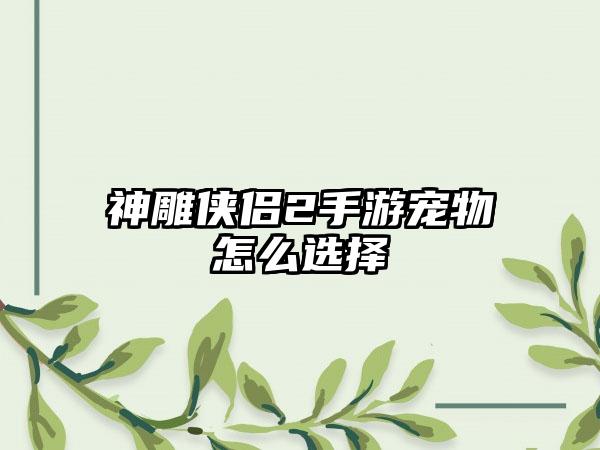 神雕侠侣2手游宠物怎么选择