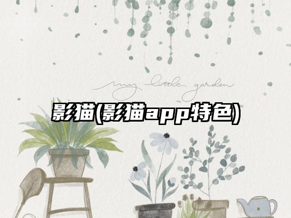 影猫(影猫app特色)