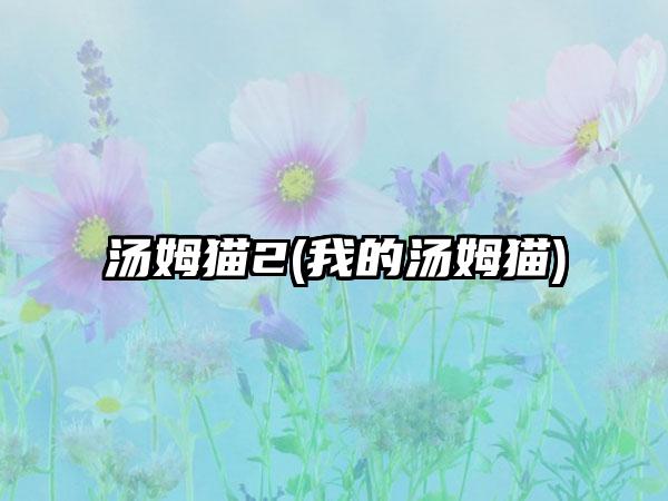汤姆猫2(我的汤姆猫)