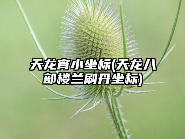 天龙宵小坐标(天龙八部楼兰刷丹坐标)
