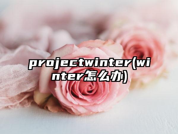 projectwinter(winter怎么办)