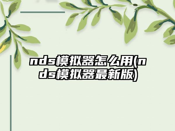 nds模拟器怎么用(nds模拟器最新版)