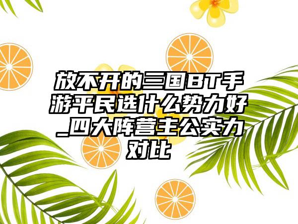 放不开的三国BT手游平民选什么势力好_四大阵营主公实力对比