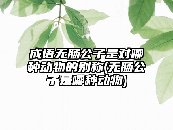 成语无肠公子是对哪种动物的别称(无肠公子是哪种动物)
