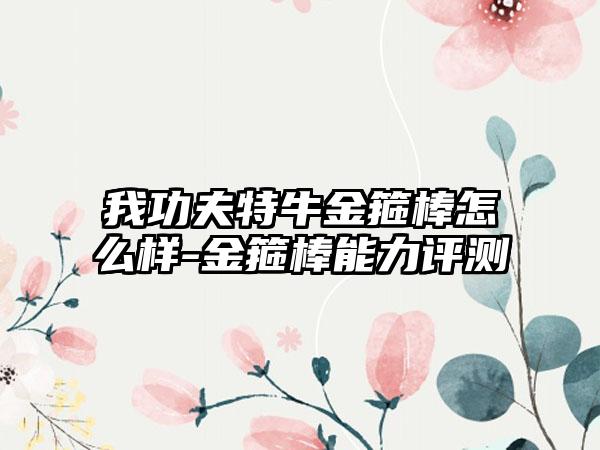 我功夫特牛金箍棒怎么样-金箍棒能力评测