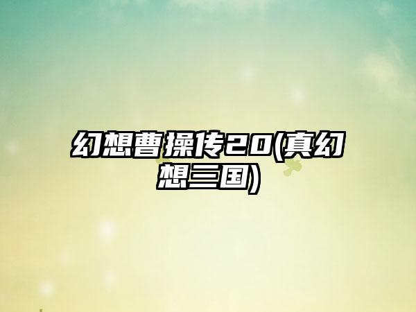 幻想曹操传20(真幻想三国)