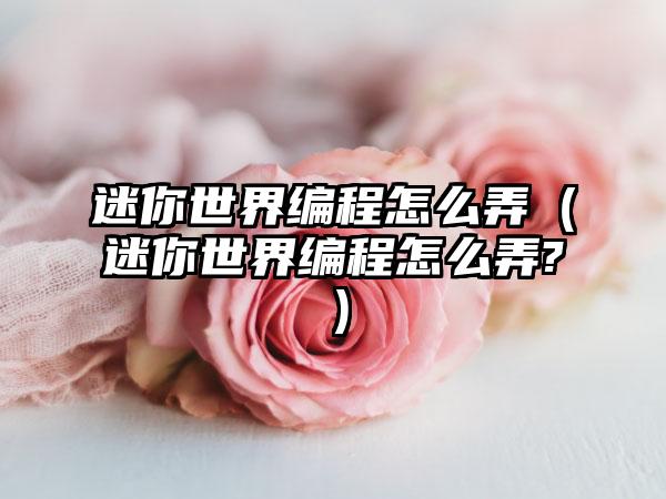 迷你世界编程怎么弄（迷你世界编程怎么弄?）