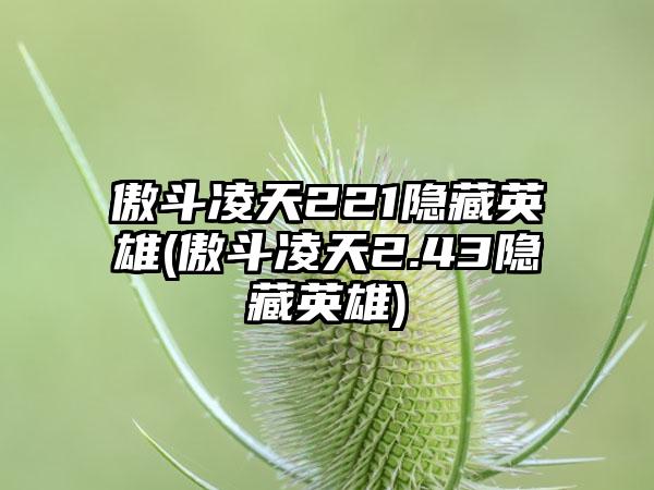 傲斗凌天221隐藏英雄(傲斗凌天2.43隐藏英雄)