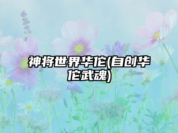 神将世界华佗(自创华佗武魂)