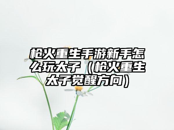 枪火重生手游新手怎么玩太子（枪火重生太子觉醒方向）