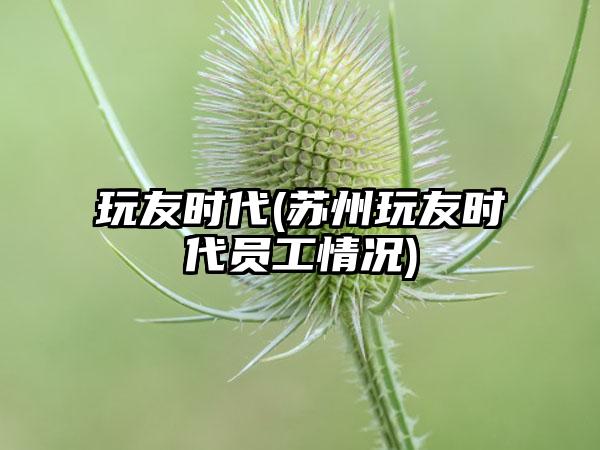 玩友时代(苏州玩友时代员工情况)