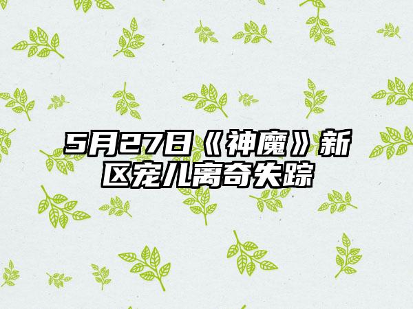 5月27日《神魔》新区宠儿离奇失踪