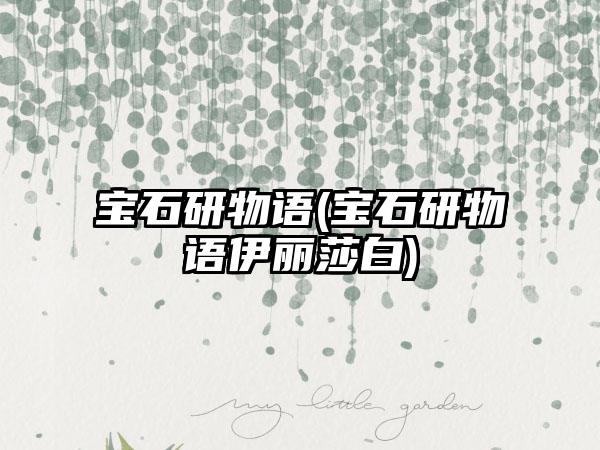 宝石研物语(宝石研物语伊丽莎白)