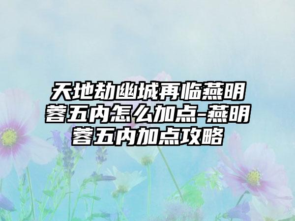 天地劫幽城再临燕明蓉五内怎么加点-燕明蓉五内加点攻略