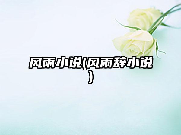 风雨小说(风雨辞小说)