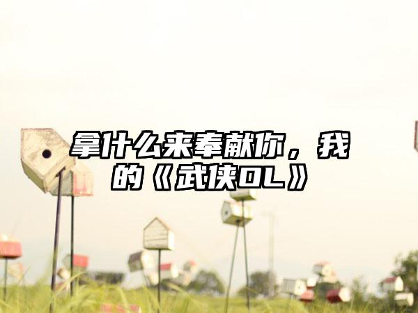 拿什么来奉献你，我的《武侠OL》