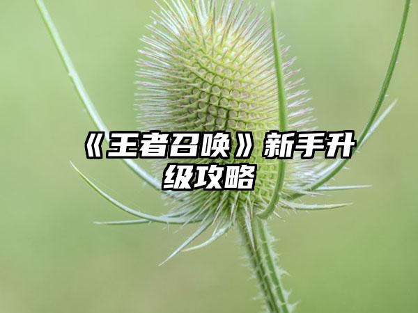 《王者召唤》新手升级攻略