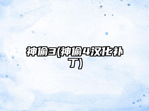 神偷3(神偷4汉化补丁)