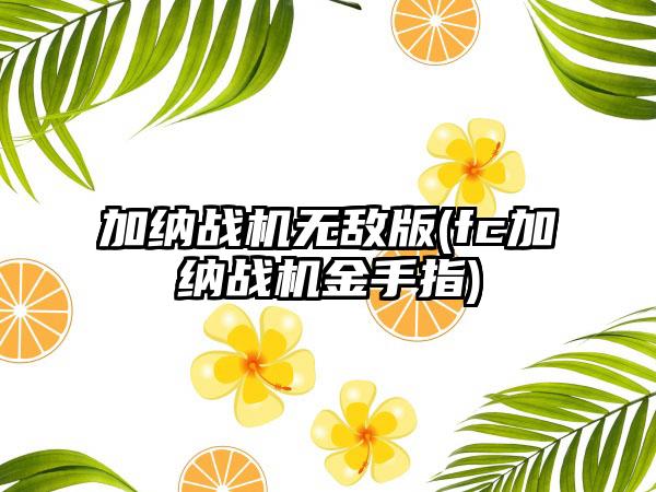 加纳战机无敌版(fc加纳战机金手指)