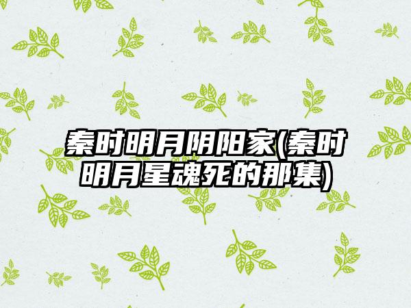 秦时明月阴阳家(秦时明月星魂死的那集)