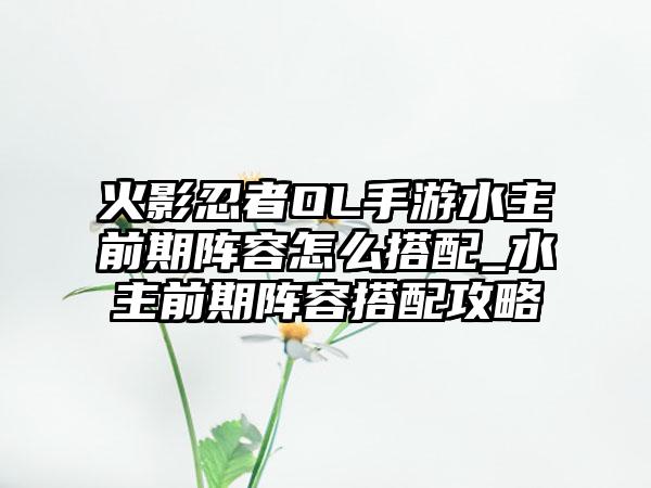 火影忍者OL手游水主前期阵容怎么搭配_水主前期阵容搭配攻略