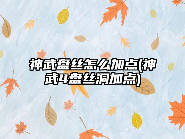 神武盘丝怎么加点(神武4盘丝洞加点)