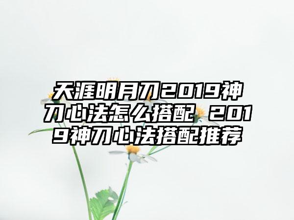 天涯明月刀2019神刀心法怎么搭配 2019神刀心法搭配推荐
