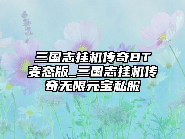 三国志挂机传奇BT变态版_三国志挂机传奇无限元宝私服