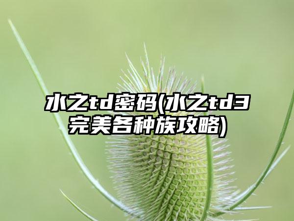 水之td密码(水之td3完美各种族攻略)
