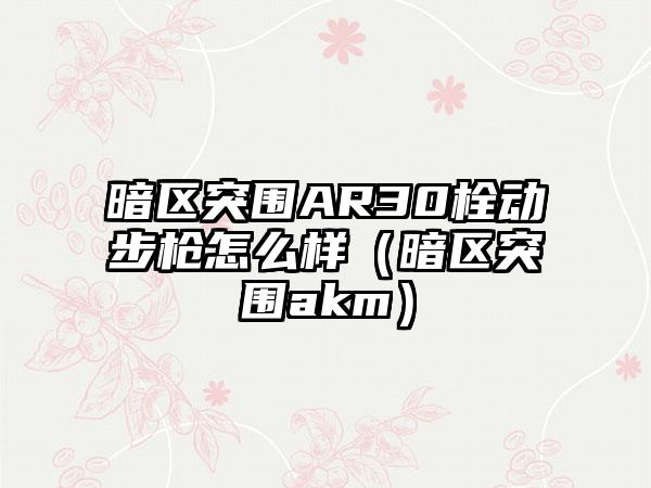 暗区突围AR30栓动步枪怎么样（暗区突围akm）