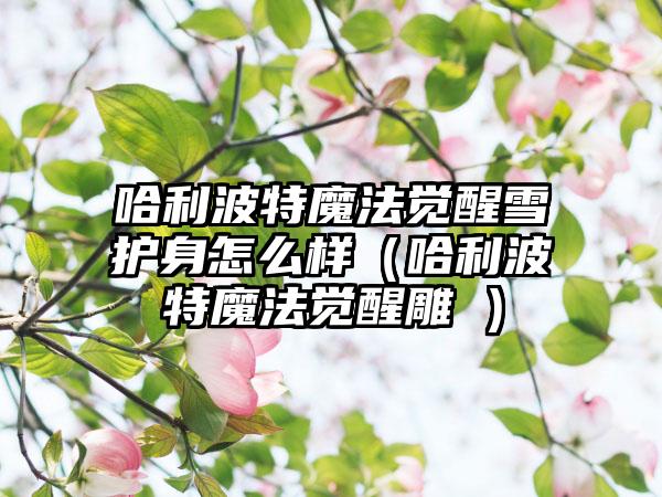 哈利波特魔法觉醒雪鸮护身怎么样（哈利波特魔法觉醒雕鸮）