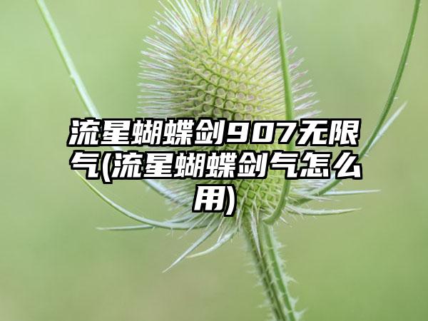 流星蝴蝶剑907无限气(流星蝴蝶剑气怎么用)