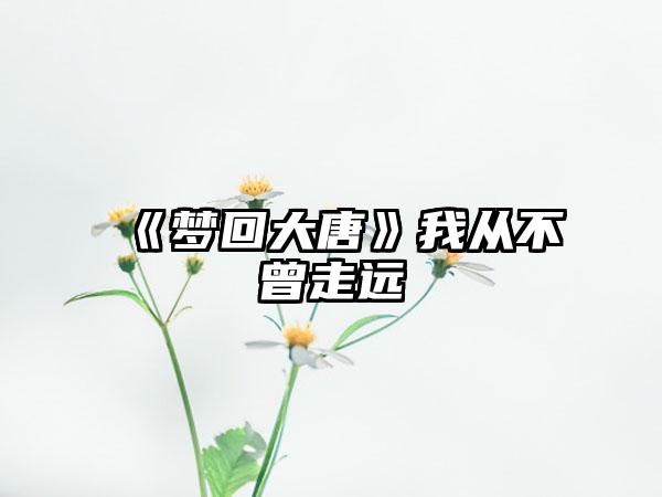 《梦回大唐》我从不曾走远