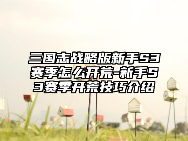 三国志战略版新手S3赛季怎么开荒-新手S3赛季开荒技巧介绍