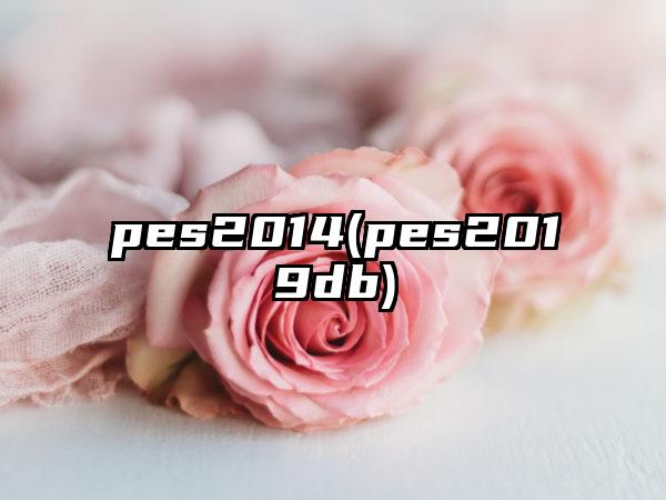 pes2014(pes2019db)