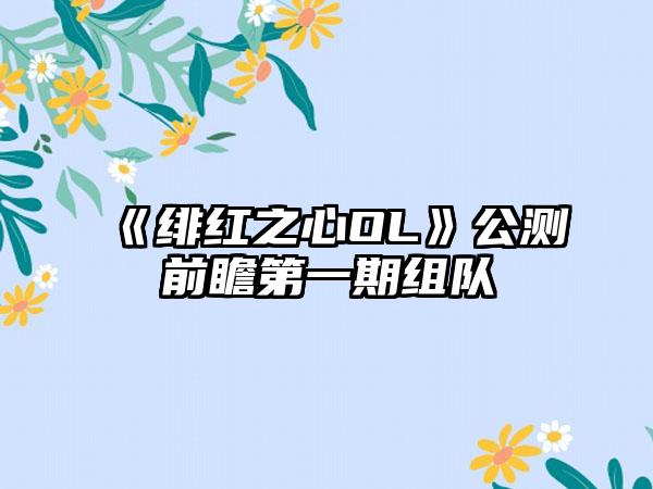《绯红之心OL》公测前瞻第一期组队